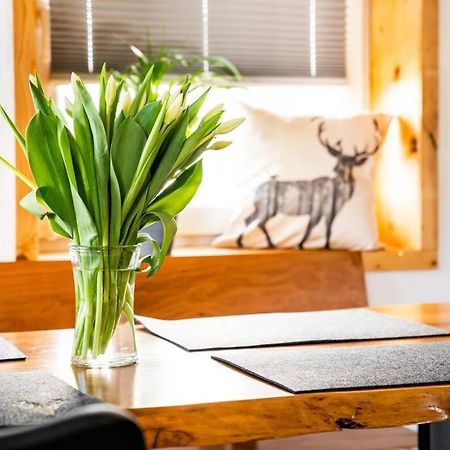 Neu Renoviertes Ferienhaus/Wohnunng Kleine Auszeit Sonnenbuhl Luaran gambar