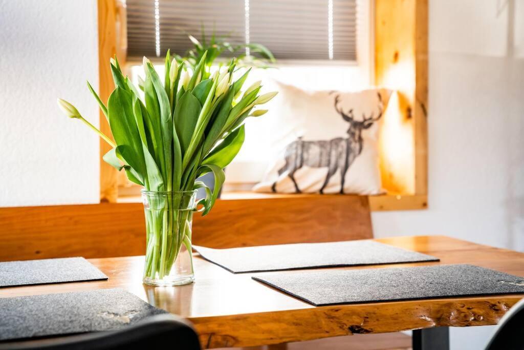 Neu Renoviertes Ferienhaus/Wohnunng Kleine Auszeit Sonnenbuhl Luaran gambar