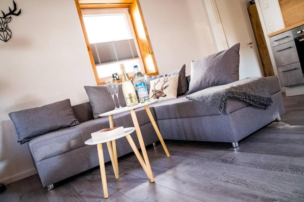 Neu Renoviertes Ferienhaus/Wohnunng Kleine Auszeit Sonnenbuhl Luaran gambar